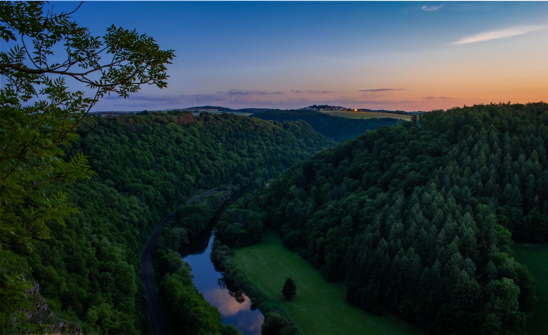 RISE WITH SAP