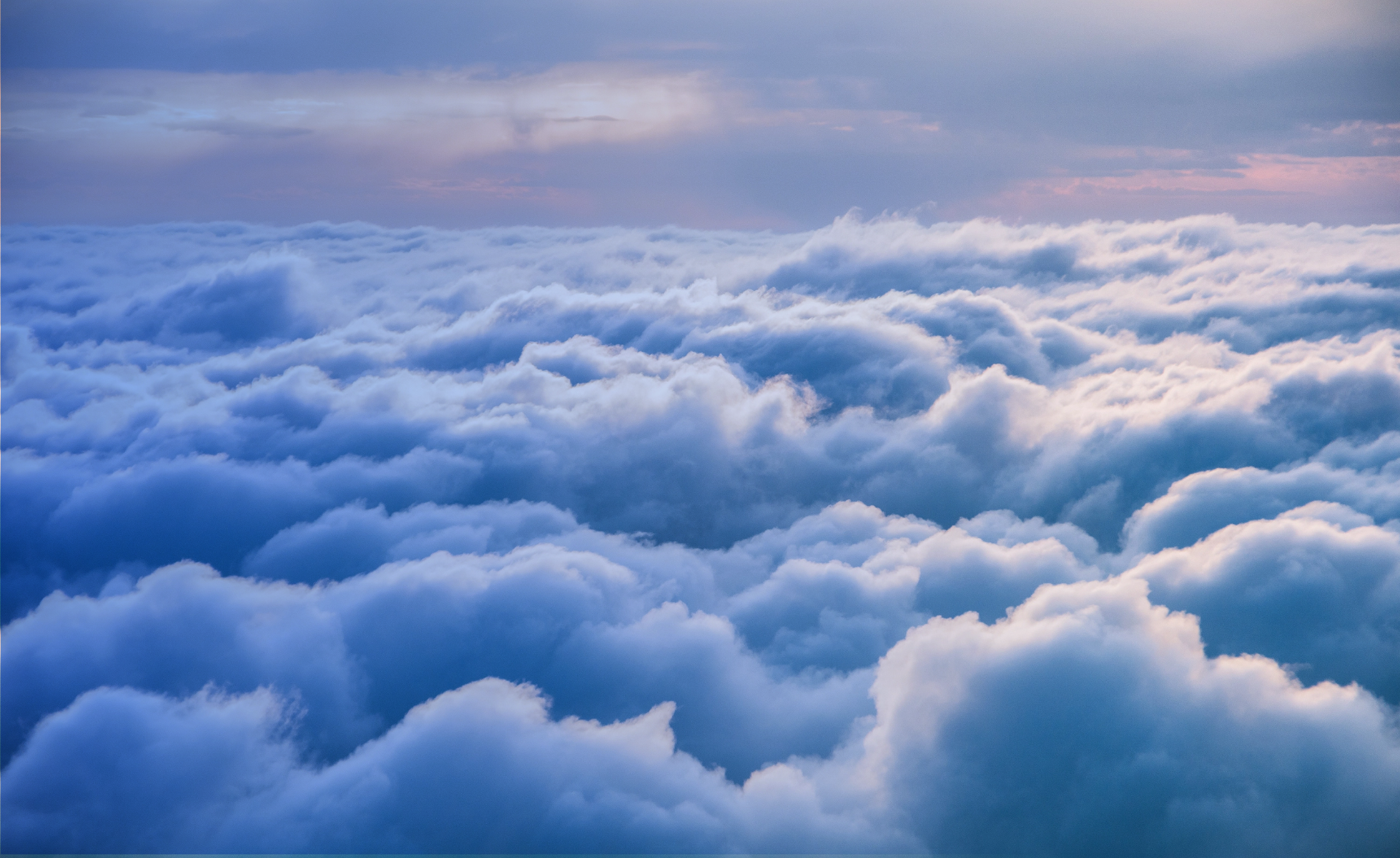 SAP Cloud ERP